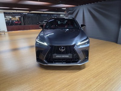 2025 LEXUS NX 照片 2