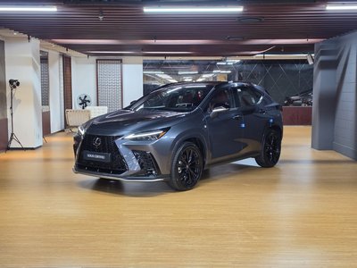 2025 LEXUS NX 照片 1
