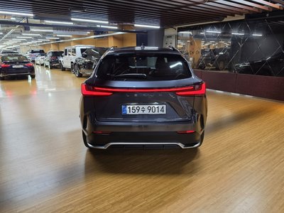 2025 LEXUS NX 照片 3