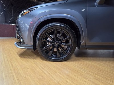 2025 LEXUS NX 照片 6