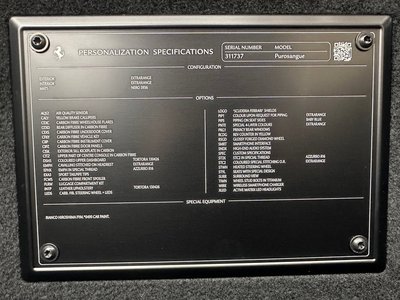 FERRARI PUROSANGUE - 9