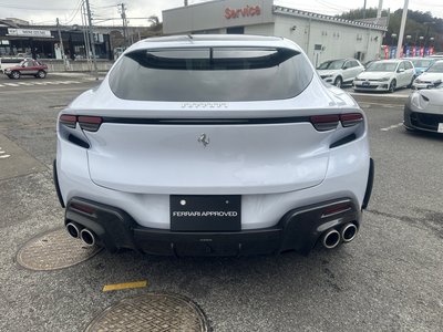 FERRARI PUROSANGUE - 7