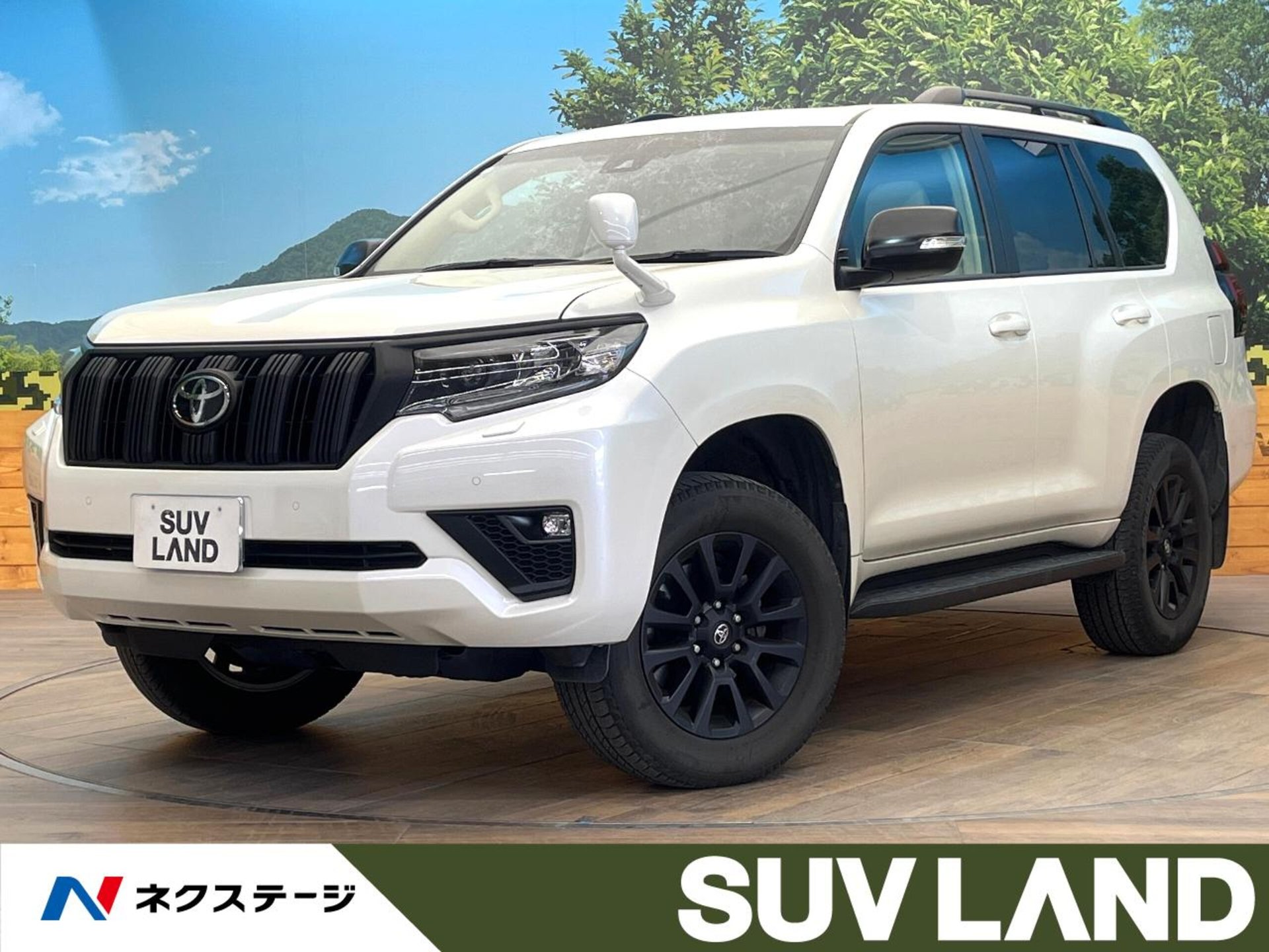 TOYOTA LAND CRUISER PRADO - View 1
