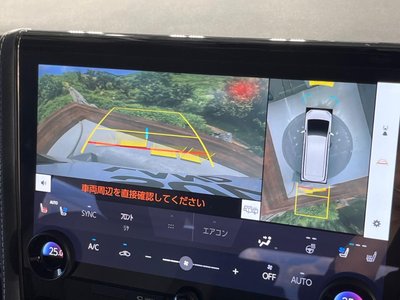 TOYOTA ALPHARD - 6
