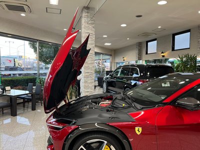 2024 Ferrari PUROSANGUE — миниатюра 14
