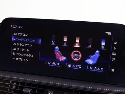 2021 Lexus LS 缩略图 52