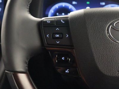 2023 Toyota ALPHARD 缩略图 20