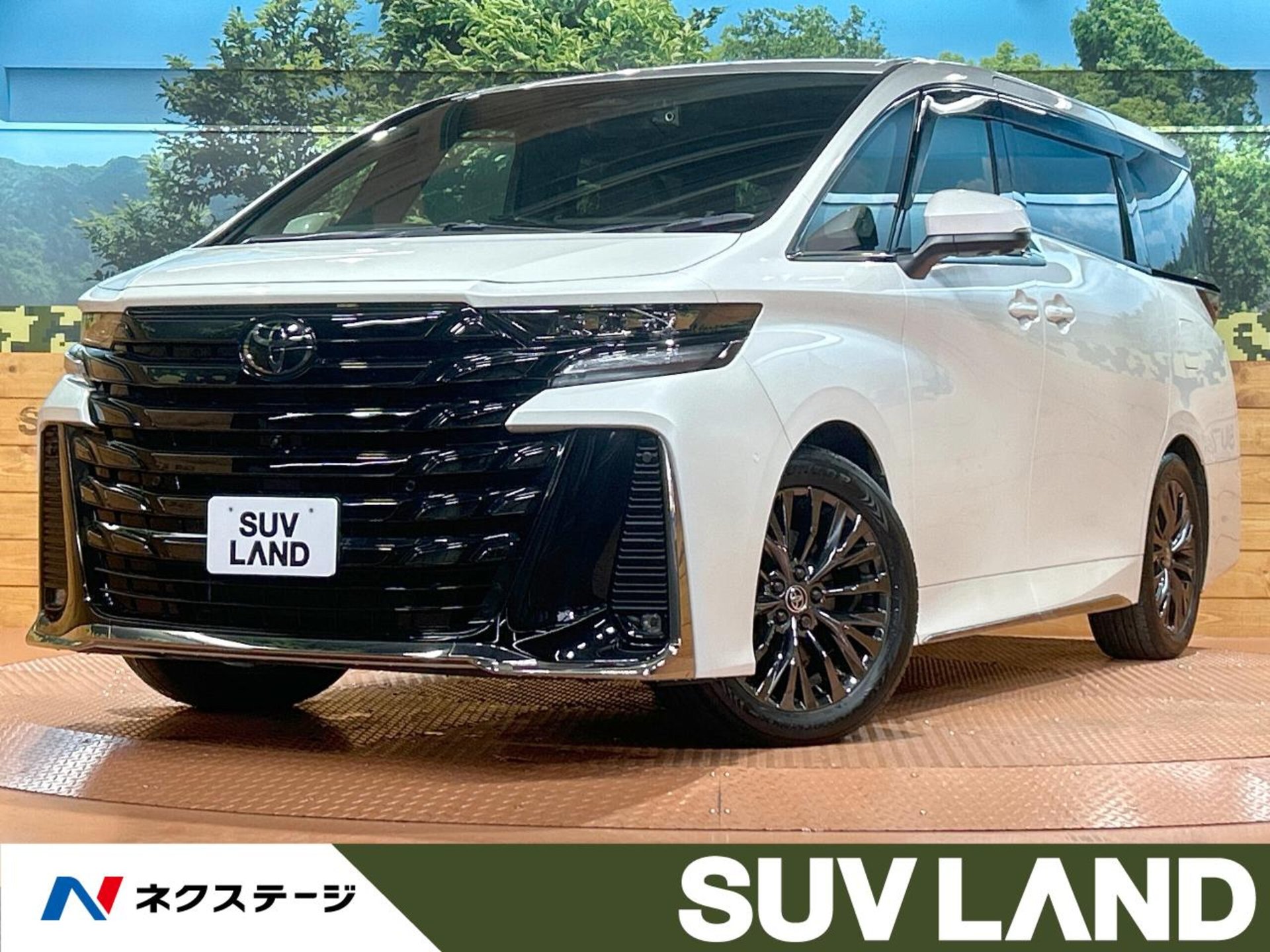 TOYOTA VELLFIRE - View 1
