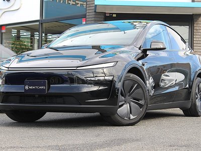 2025 Tesla MODEL Y — фото 9