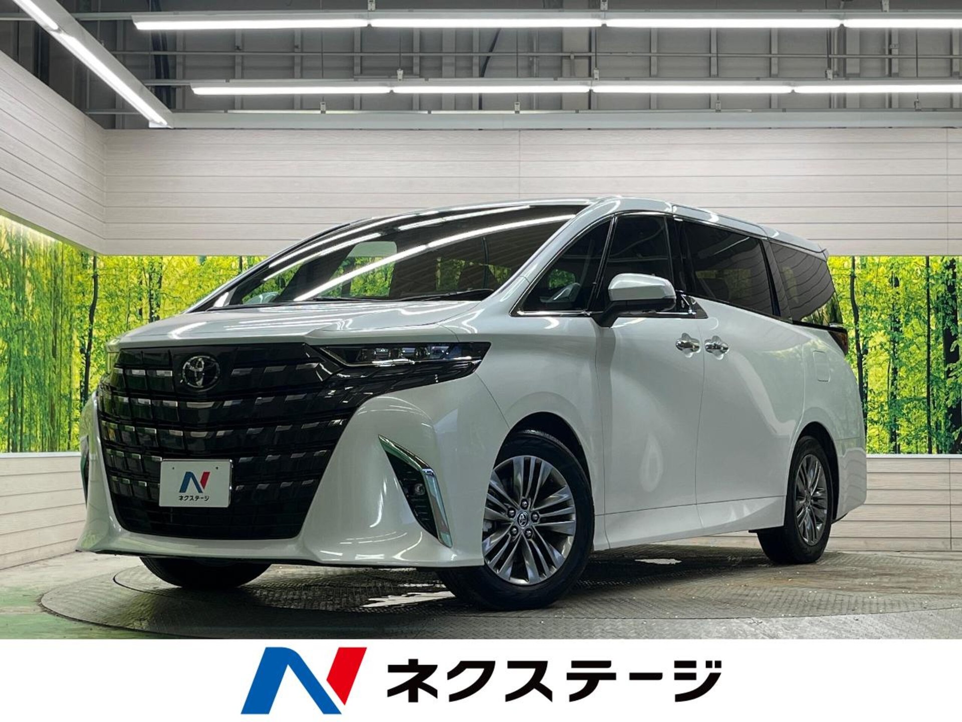 TOYOTA ALPHARD - View 1