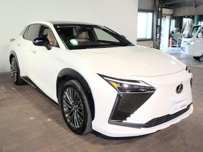 2023 Lexus RZ 缩略图 34