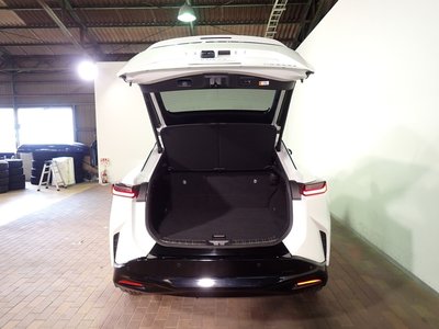 2023 Lexus RZ 缩略图 30