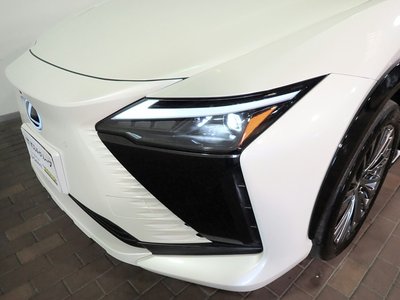 2023 Lexus RZ 缩略图 31