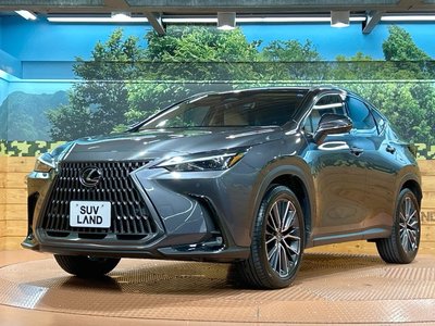 2025 Lexus NX — миниатюра 24
