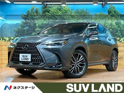 2025 Lexus NX photo 1