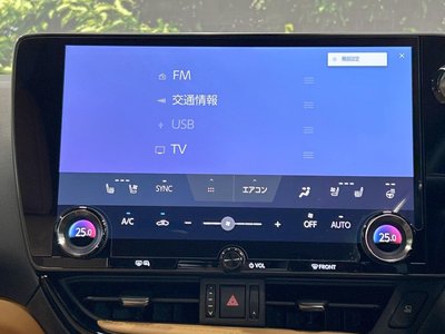 2025 Lexus NX — миниатюра 45