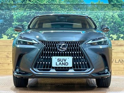 2025 Lexus NX — миниатюра 14