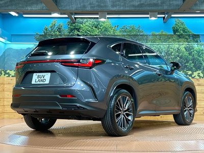 2025 Lexus NX — миниатюра 17