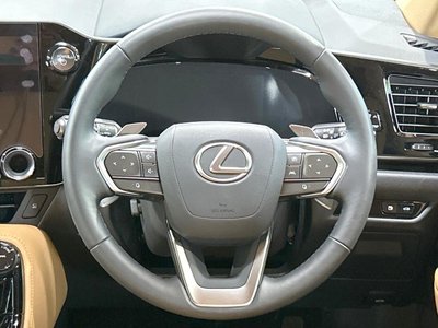 2025 Lexus NX — миниатюра 11