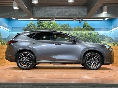 2025 Lexus NX — миниатюра 27