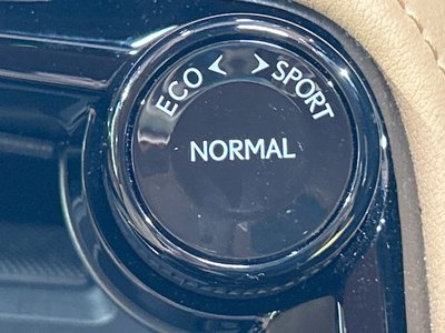 2025 Lexus NX — миниатюра 49