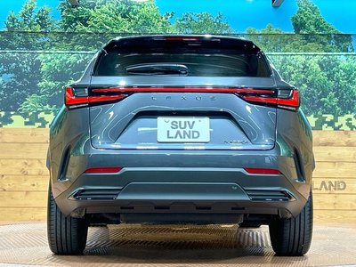 2025 Lexus NX — миниатюра 15