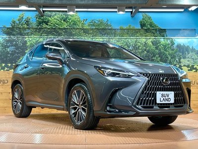 2025 Lexus NX — миниатюра 16