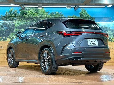 2025 Lexus NX — миниатюра 26