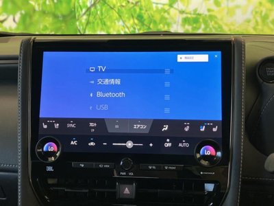 2025 Toyota ALPHARD — миниатюра 11