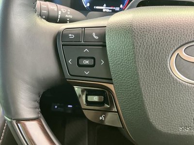 2025 Toyota ALPHARD — миниатюра 25