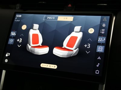 2025 LAND Rover DISCOVERY SPORT 缩略图 46