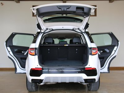 2025 LAND Rover DISCOVERY SPORT — фото 10