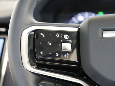 2025 LAND Rover DISCOVERY SPORT 缩略图 49