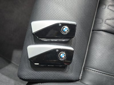 2024 BMW X7 缩略图 22