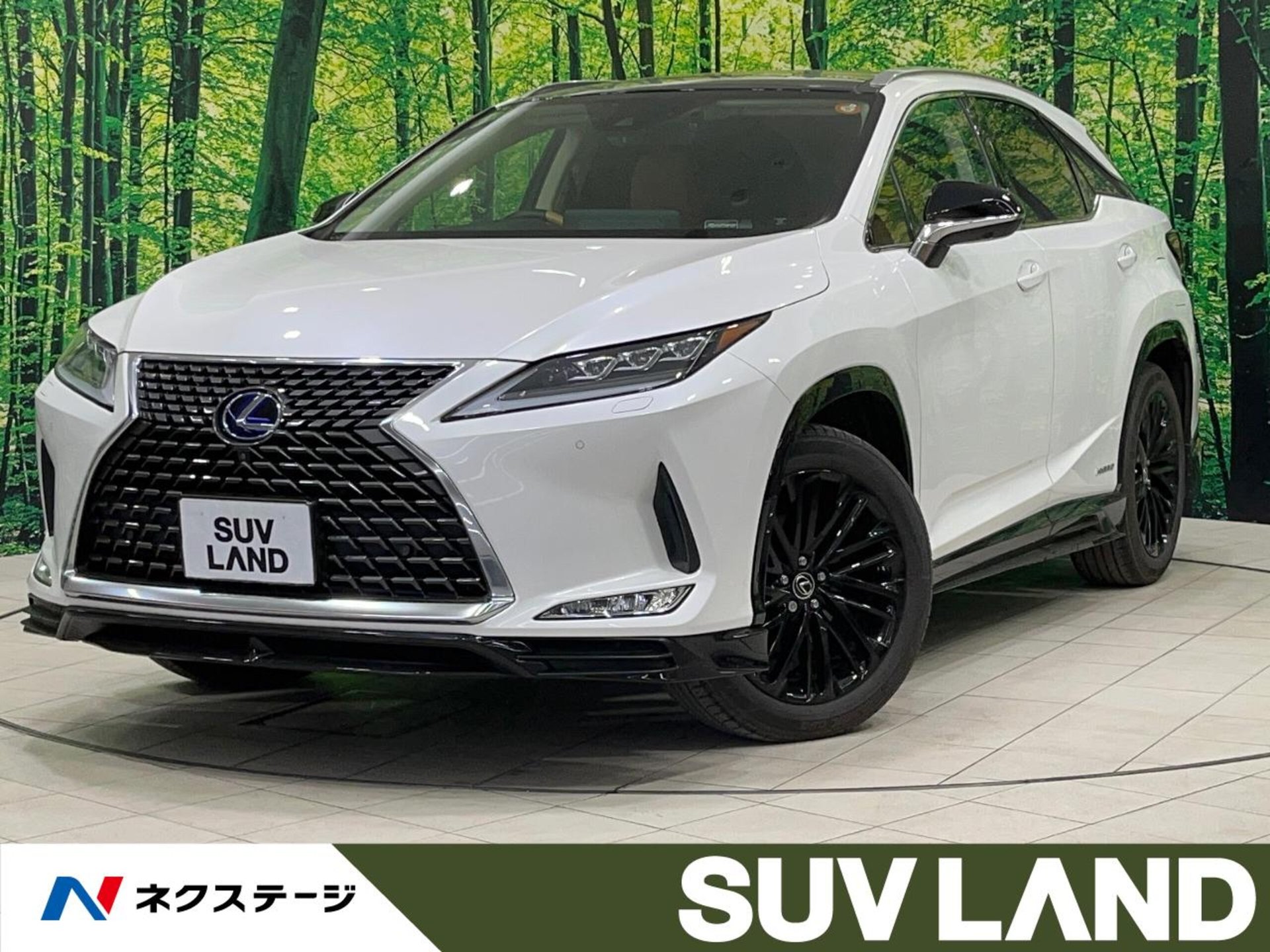 LEXUS RX - View 1
