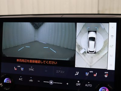 LEXUS NX - 10