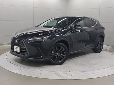 LEXUS NX - 1
