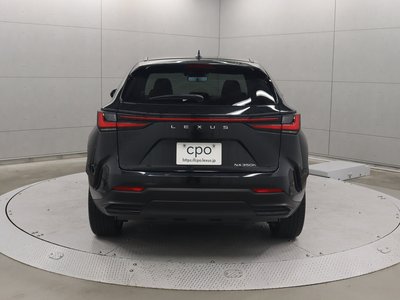 LEXUS NX - 3