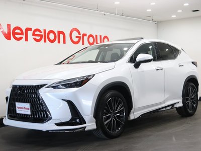 LEXUS NX - 1
