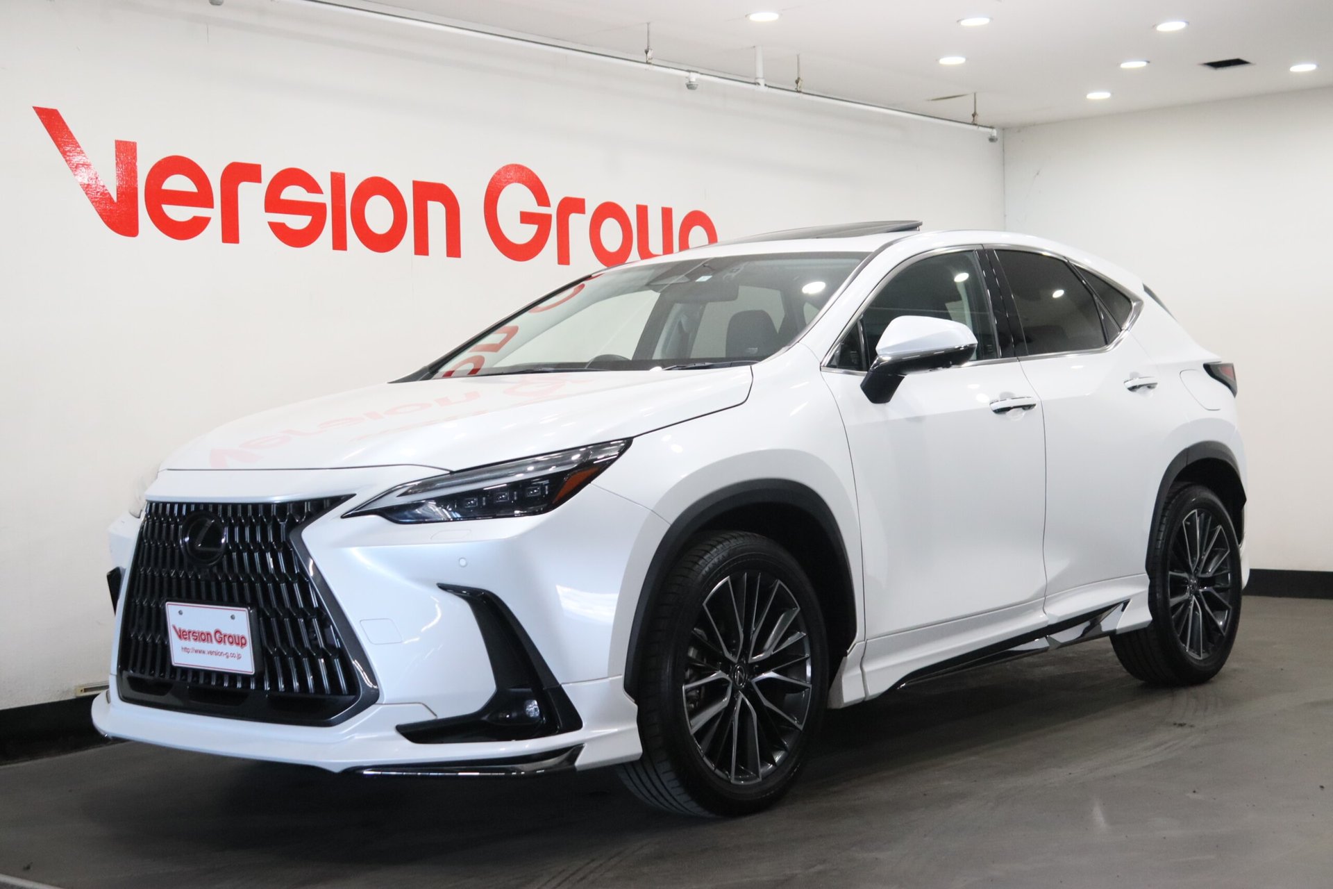 LEXUS NX - View 1