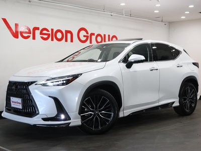 LEXUS NX - 7