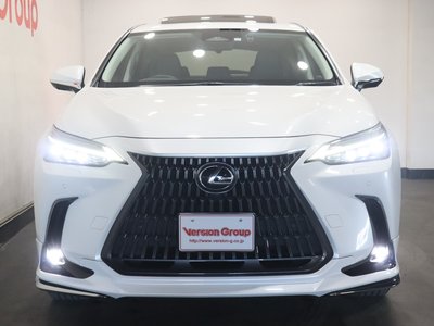 LEXUS NX - 8