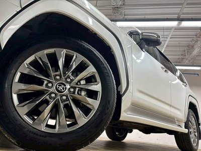 2024 Toyota LAND CRUISER 300 缩略图 14