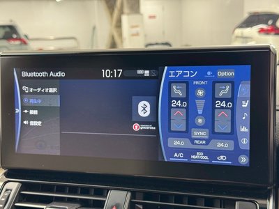 2024 Toyota LAND CRUISER 300 缩略图 35