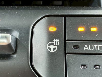 2024 Toyota LAND CRUISER 300 缩略图 52