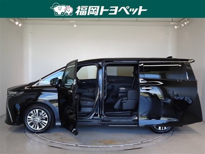 2025 Toyota ALPHARD 缩略图 18