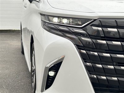 2023 Toyota ALPHARD 缩略图 17