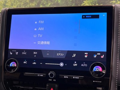 2024 Toyota ALPHARD — миниатюра 36