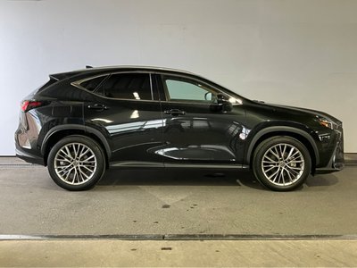 LEXUS NX - 5