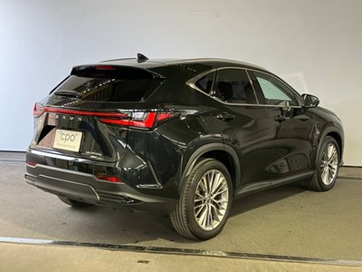 LEXUS NX - 4